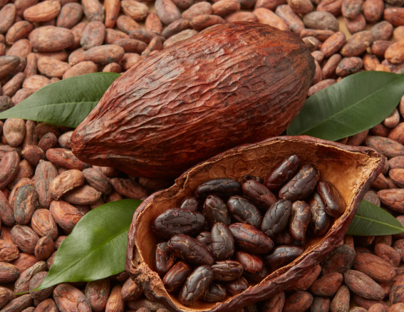 Formulated for Density. Refined for the Global Market. Our products increase bean weight and ensures uniform cherry maturation using low-cadmium, export-compliant sources.