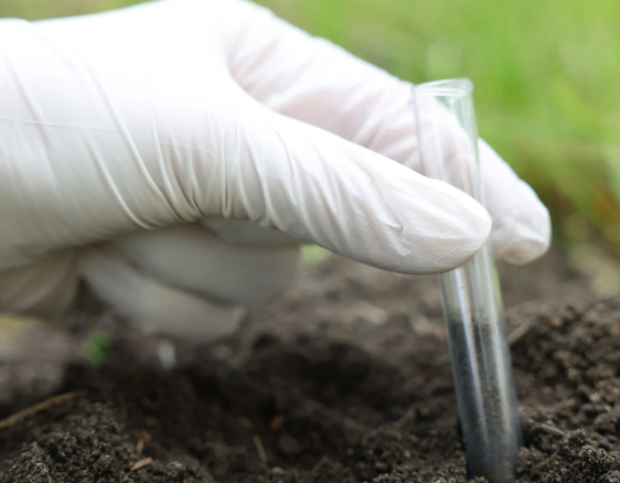 Precision begins with a sample. Our diagnostic tools measure pH, organic matter and N-P-K concentrations to provide a science-based mapping for your farm.