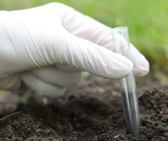 Precision begins with a sample. Our diagnostic tools measure pH, organic matter and N-P-K concentrations to provide a science-based mapping for your farm.